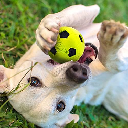 Hračka pre psa Nerf Dog Soccer Ball s interaktívnym Chrumkaním, ľahká, odolná a vodeodolná, 3 palce, pre malé