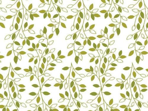 Ivy Lane Biela kvetinovo-Prírodná tlač Darčeková Trieda 15x20 listy hodvábneho papiera RP129