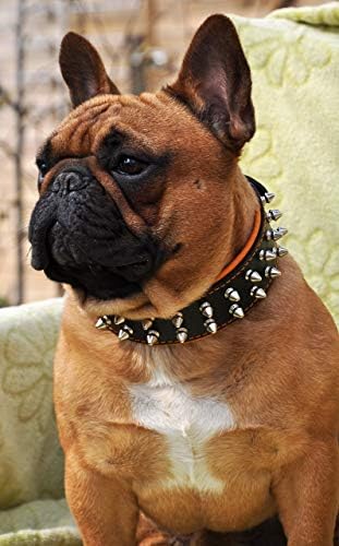 Obojok pre psa Bestia Frenchie, špicatý, ručne vyrobený, dizajn buldoga, Mops, teriér, Labrador, nemecký ovčiak,